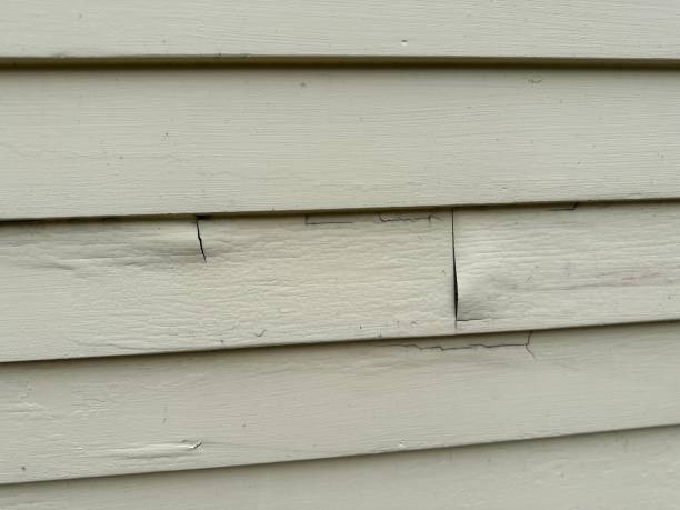 Best Siding Painting and Refinishing  in Perth Amboy, NJ